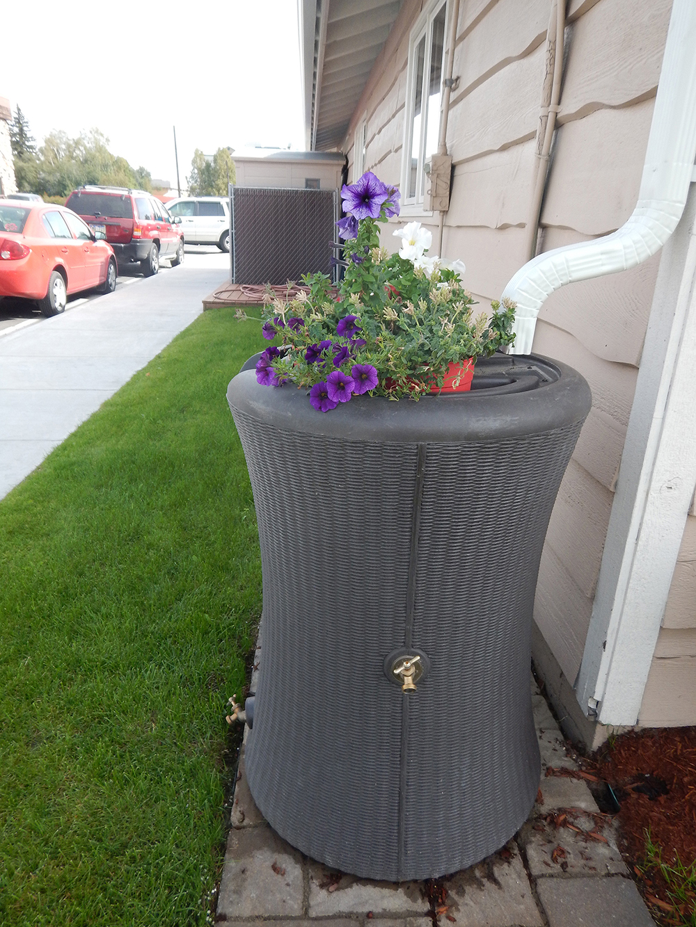 A Rain Water Barrel being used to reduce water pollution.
